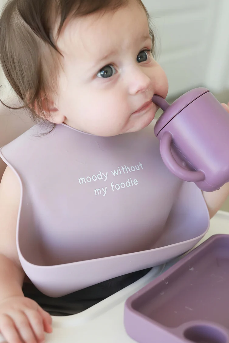 Silicone Baby Bib | Moody Without My Foodie